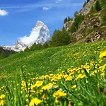 Silence-1 By Interhome Appartamento Zermatt